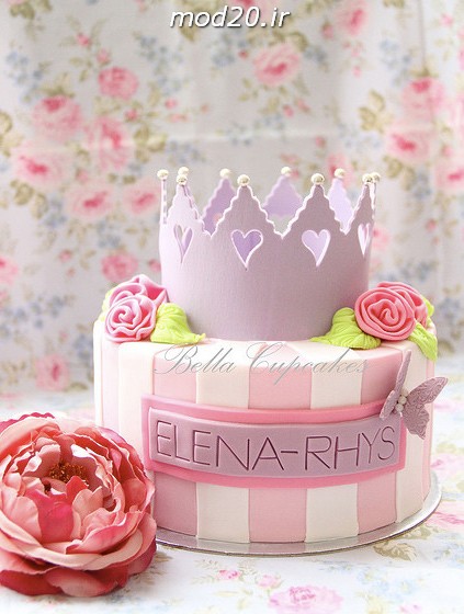 کیک تولد مدل سیندرلا انگری بردز پرنسس هواپیما عروسکی رنگی قارچ خور  عکس و مدل کیک تولد برای بچه ها و کودکان یک تا ده ساله کیک تولد و تزئینات میز تولد شیک و زیبا