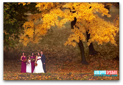 ژست عکاسی عروس و داماد در فصل پاییز  عکس عروسی در فصل پاییز