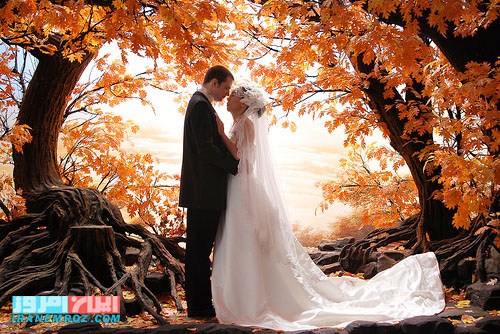 ژست عکاسی عروس و داماد در فصل پاییز  عکس عروسی در فصل پاییز