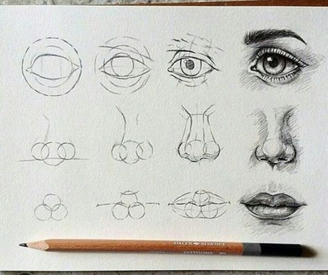 آموزش طراحی چهره اموزش قدم به قدم و مرحله ای طراحی و نقاشی چشم ابرو لب بینی گوش موی سر و صورت انسان